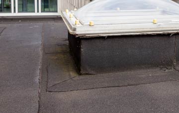 disadvantages of Apsey Green flat roofs