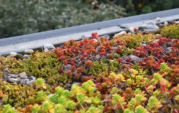 the cost of Apsey Green green roof installation